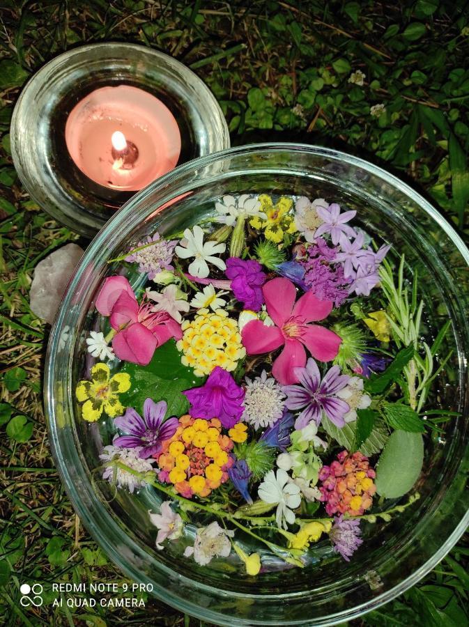 Le Cicale Villa Casal Palocco Ngoại thất bức ảnh