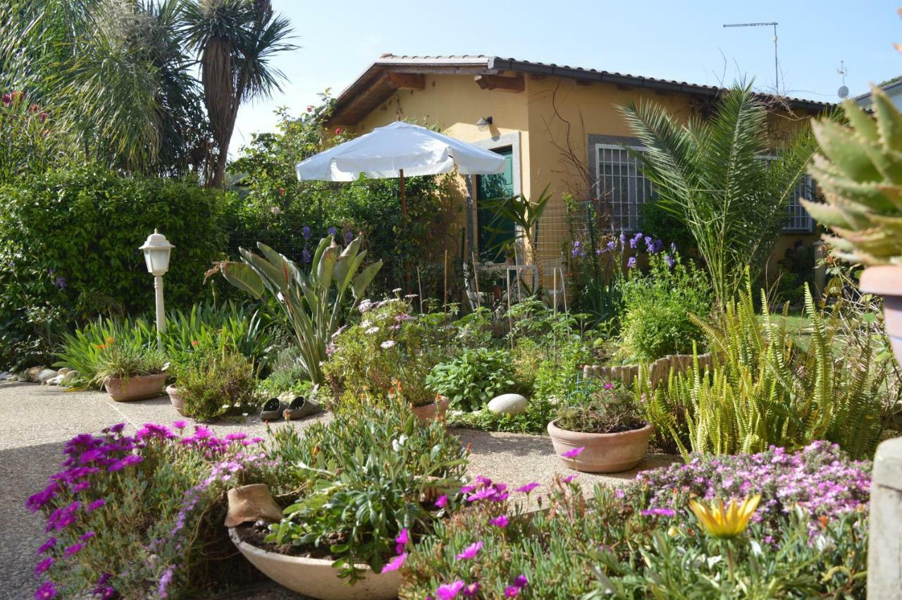 Le Cicale Villa Casal Palocco Ngoại thất bức ảnh