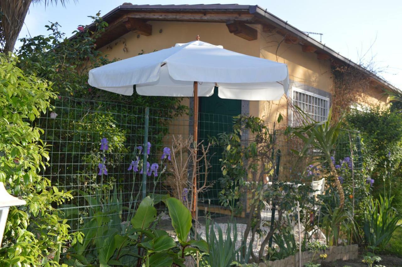 Le Cicale Villa Casal Palocco Ngoại thất bức ảnh
